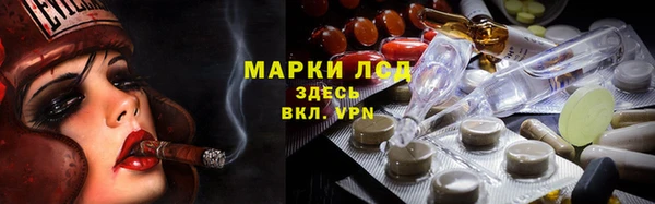 ECSTASY Алзамай