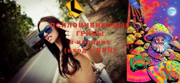 ECSTASY Алзамай