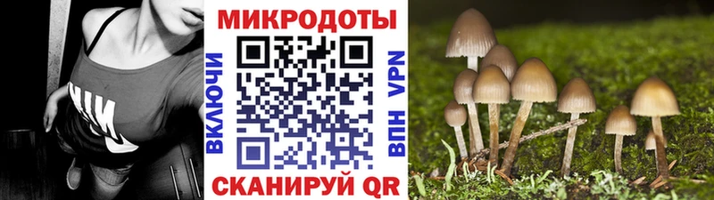 где можно купить Ковылкино Псилоцибиновые грибы мухоморы